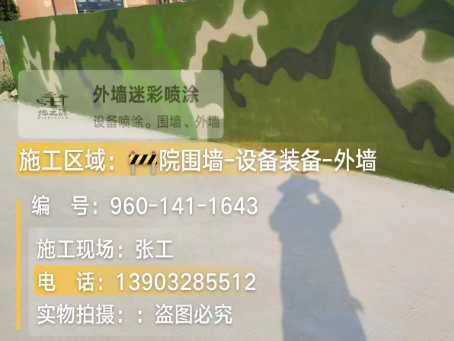 石家庄 迷彩漆喷涂价格（按平方米计费）